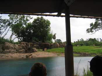 5animal_safariBigRed
