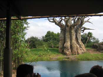 5animal_safariBigTree