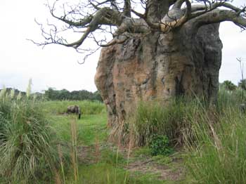 5animal_safariGrazingThing