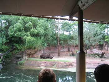 5animal_safariRhino