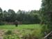 5animal_safariElephant2