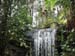 5animal_waterfallWBirds