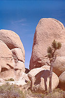 stone8_s.jpg