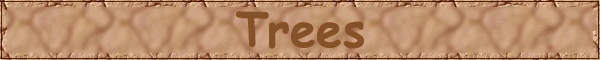 Go to the Joshua Tree Page