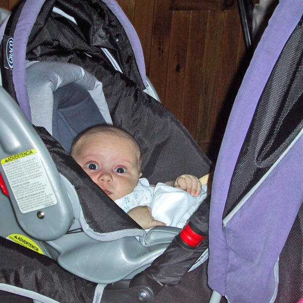 IMG_1950_edited