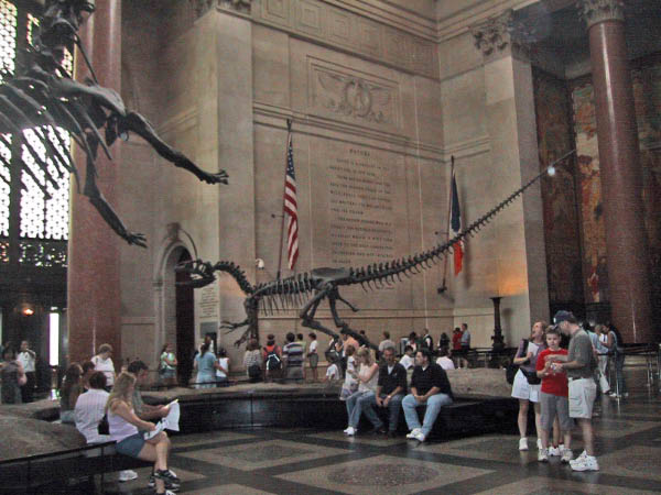 IMG_2076_edited