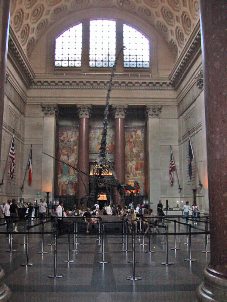 IMG_2083_edited