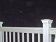 IMG_1958_edited