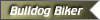 bbulldogbikergold.gif (2610 bytes)