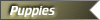 bpuppiesgold.gif (2457 bytes)