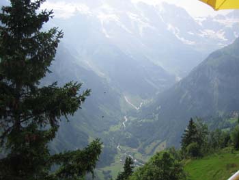 european