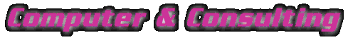 Computer and Consulting