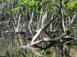 frog lake.jpg (55504 bytes)