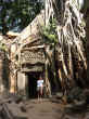 ta prohm trees.jpg (46497 bytes)
