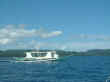 boat.jpg (17866 bytes)