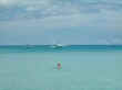 swimming2.jpg (9255 bytes)