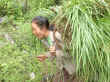 leaf backpack.jpg (50273 bytes)