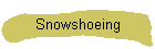 Snowshoeing
