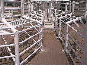 CORAL FENCE