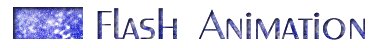 Flash Animation