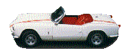 spitty.gif (4994 bytes)