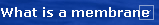 What is a membrane