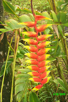 2003 Maui vacation 111