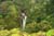 2003 Maui vacation 192