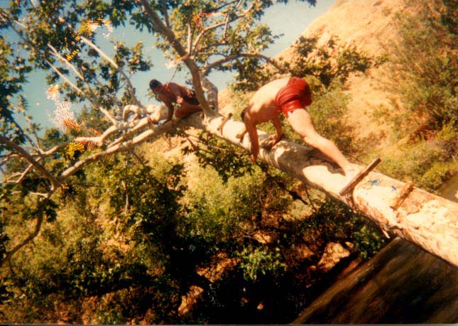 14RopeSwing