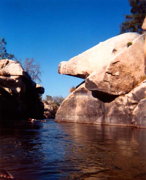 10PigRock