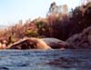 13NarrowGorge