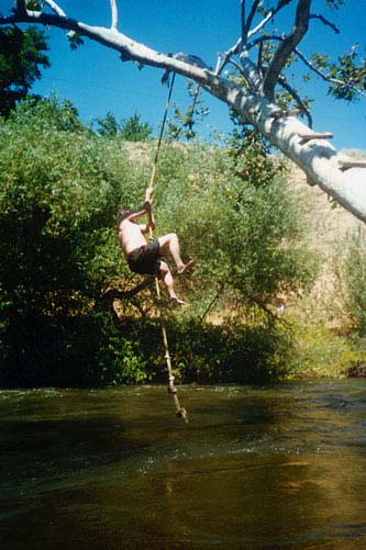 SwingEric35