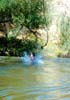 RopeSwing31