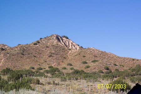 gorman2