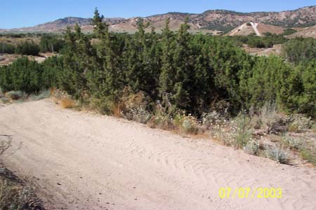gorman3
