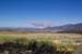 meadows1