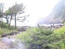 DSC00282 (683x512, 149.1 kilobytes)
