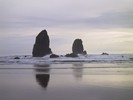 IMG_2100 (683x512, 47.1 kilobytes)