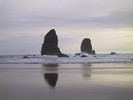 IMG_2101 (683x512, 45.0 kilobytes)