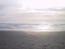 IMG_2104 (683x512, 41.5 kilobytes)