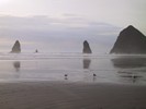 IMG_2107 (683x512, 42.2 kilobytes)