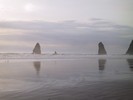 IMG_2109 (683x512, 37.9 kilobytes)