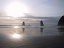 IMG_2114 (683x512, 44.0 kilobytes)