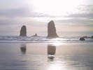 IMG_2117 (683x512, 54.0 kilobytes)