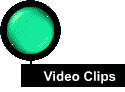 Video Clips